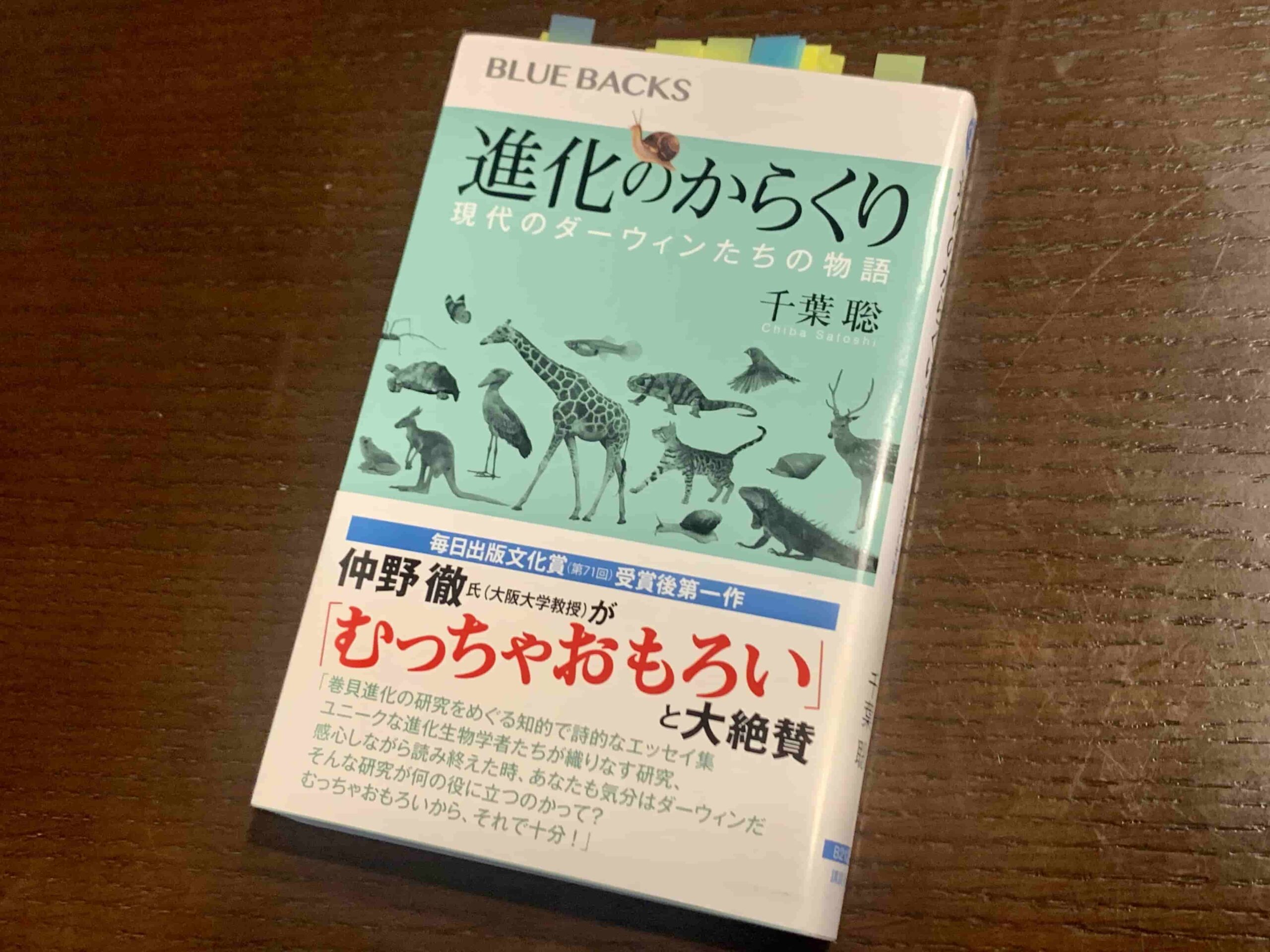 進化のからくり表紙